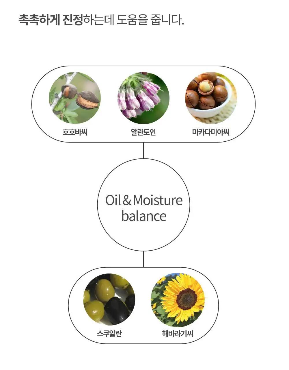 [온가족로션/탄탄장벽] 에스네이처 블랑쉬 올인원 로션 200ml 상세페이지 15